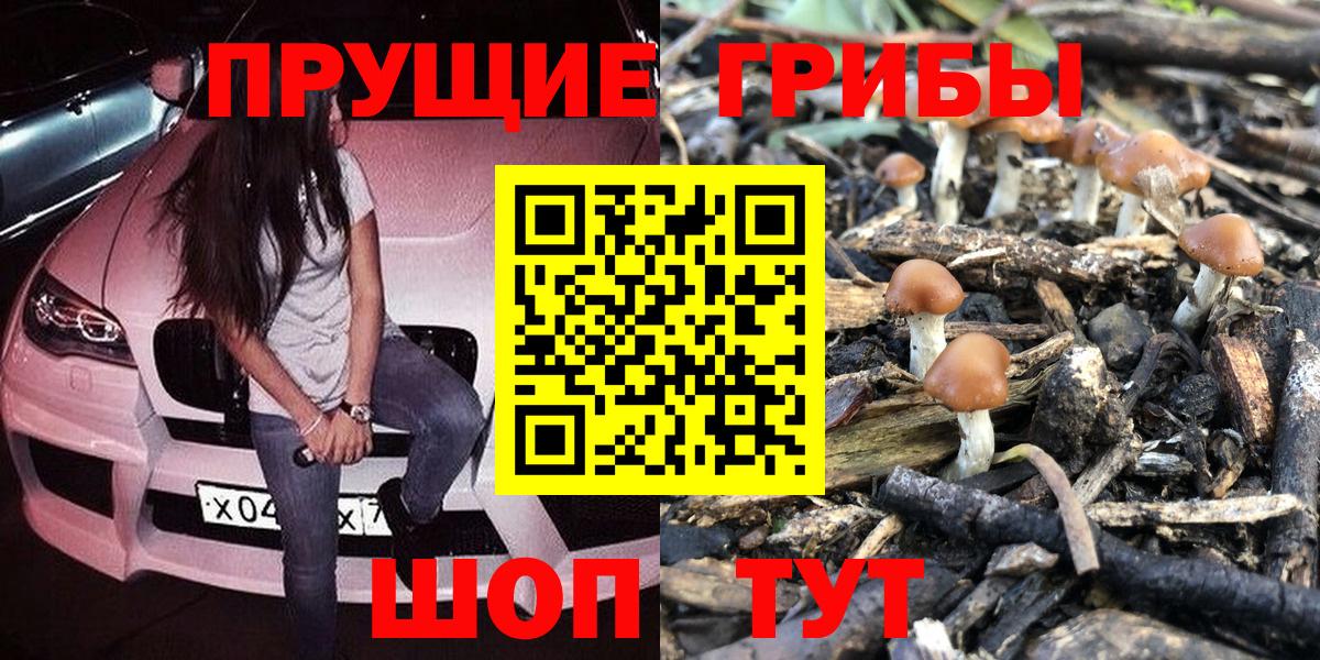 магазин продажи   Вход с VPN  Анапа  Галлюциногенные грибы Cubensis 